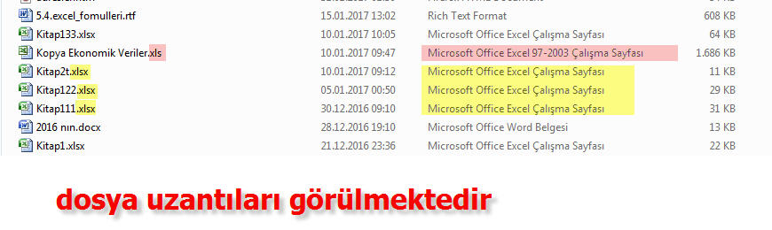 Excel Dosya Uzantısı