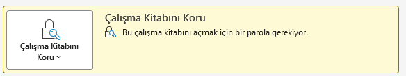 Bilgi ekranı: koruma aktif, panel sarı Bilgi ekranında bu çalışma kitabını açmak için parola gerekiyor uyarılı koruma paneli