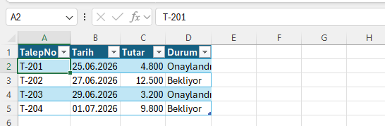 Talepler tablosu: akışın okuyacağı yapı TalepNo, tarih, tutar ve durum sütunlarıyla akışa hazır adlandırılmış talep tablosu