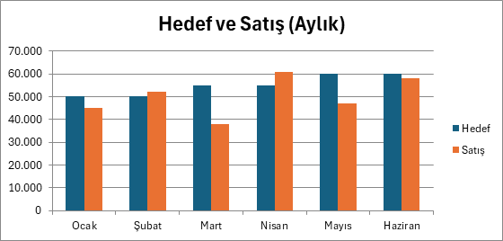 Hedef ve satış grafiği: ayların performans kıyası Ocak-Haziran aylık hedef ve satış tutarlarını yan yana sütunlarla kıyaslayan pano grafiği